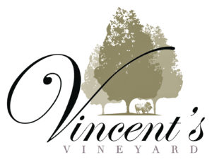 Vincent's Vineyard Logo