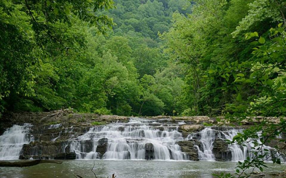 Pinnacle Natural Area Preserve, We enjoy the 1 mile walk al…