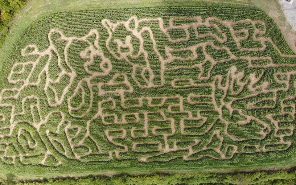 Crab Orchard Corn Maze Aerial View - 2023