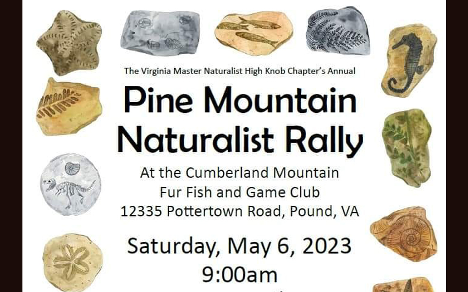 Pine Mountain Naturalist Rally