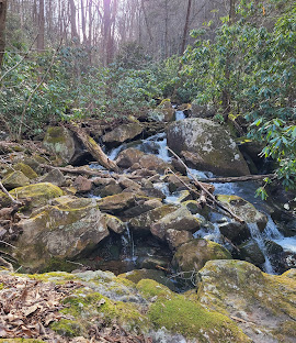 roaring branch trail