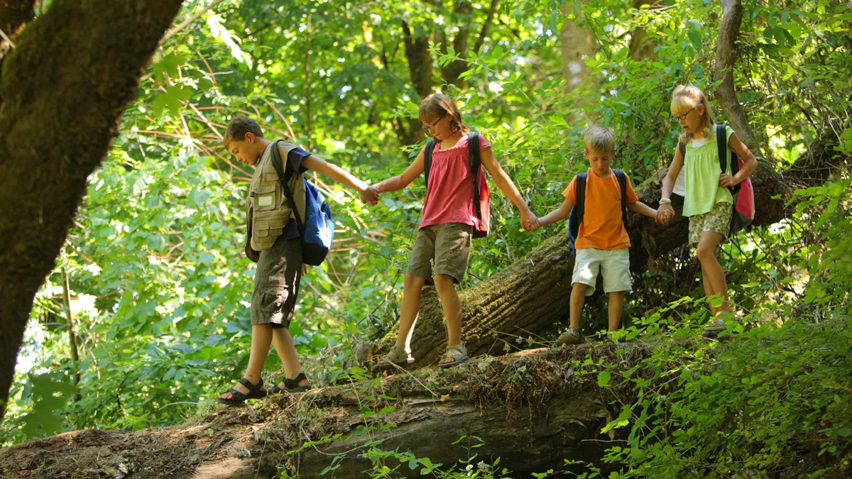 Four kids hiking a beginner-friendly forest trail in Southwest Virginia
