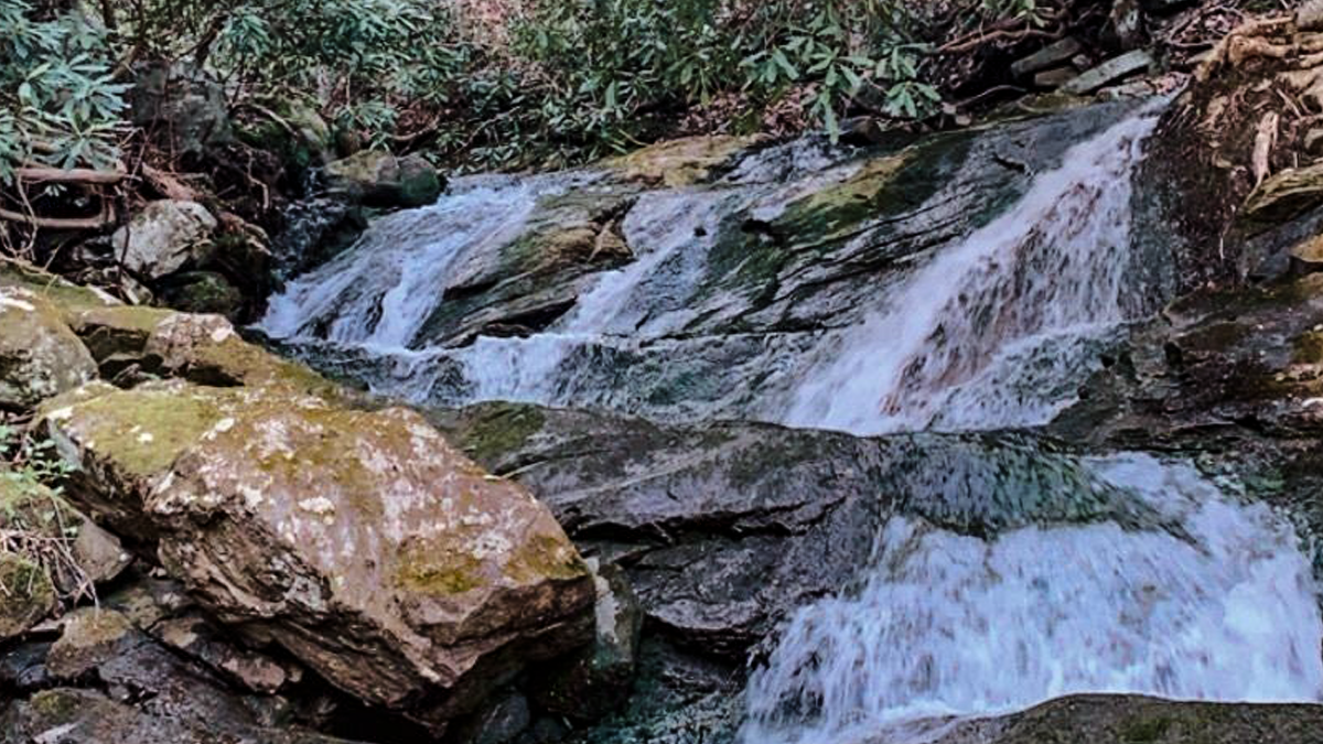 Roaring Branch Falls tucked into a narrow forested gorge in Wise County, Virginia