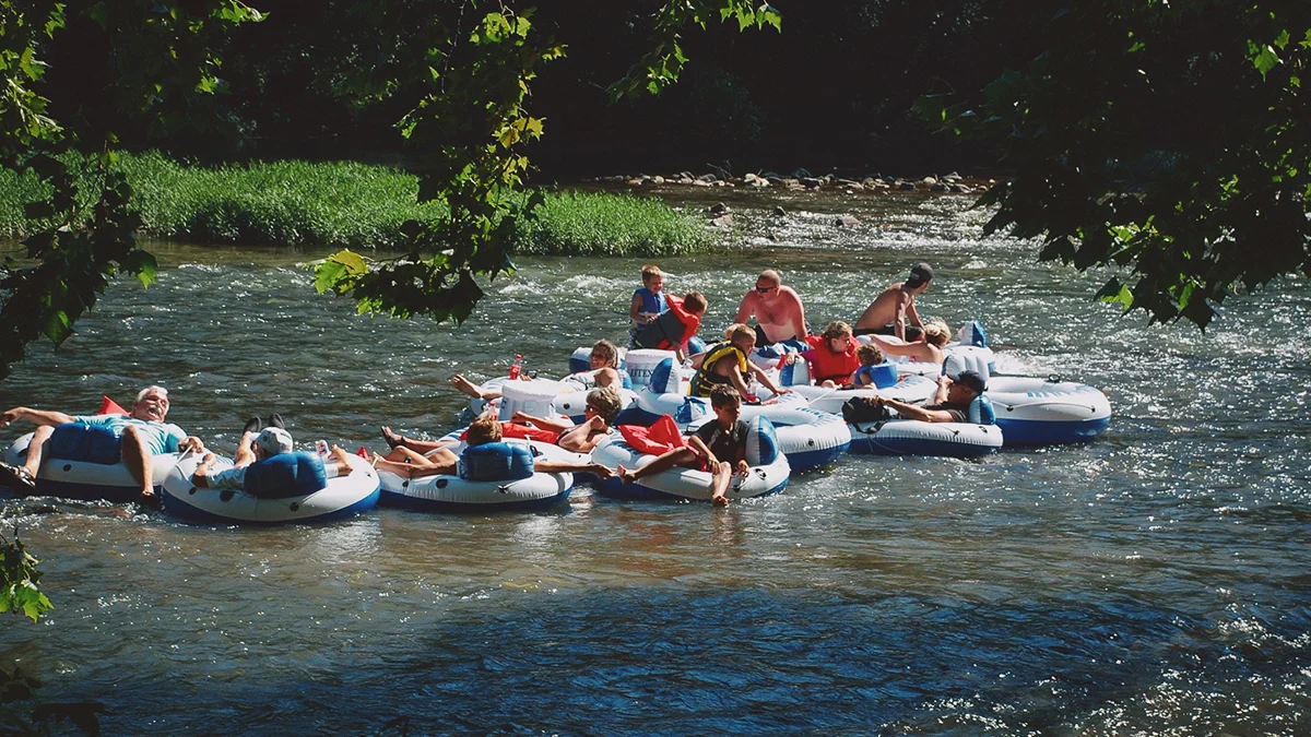 Guided paddling trip with Clinch River Adventures on the Clinch River in Southwest Virginia