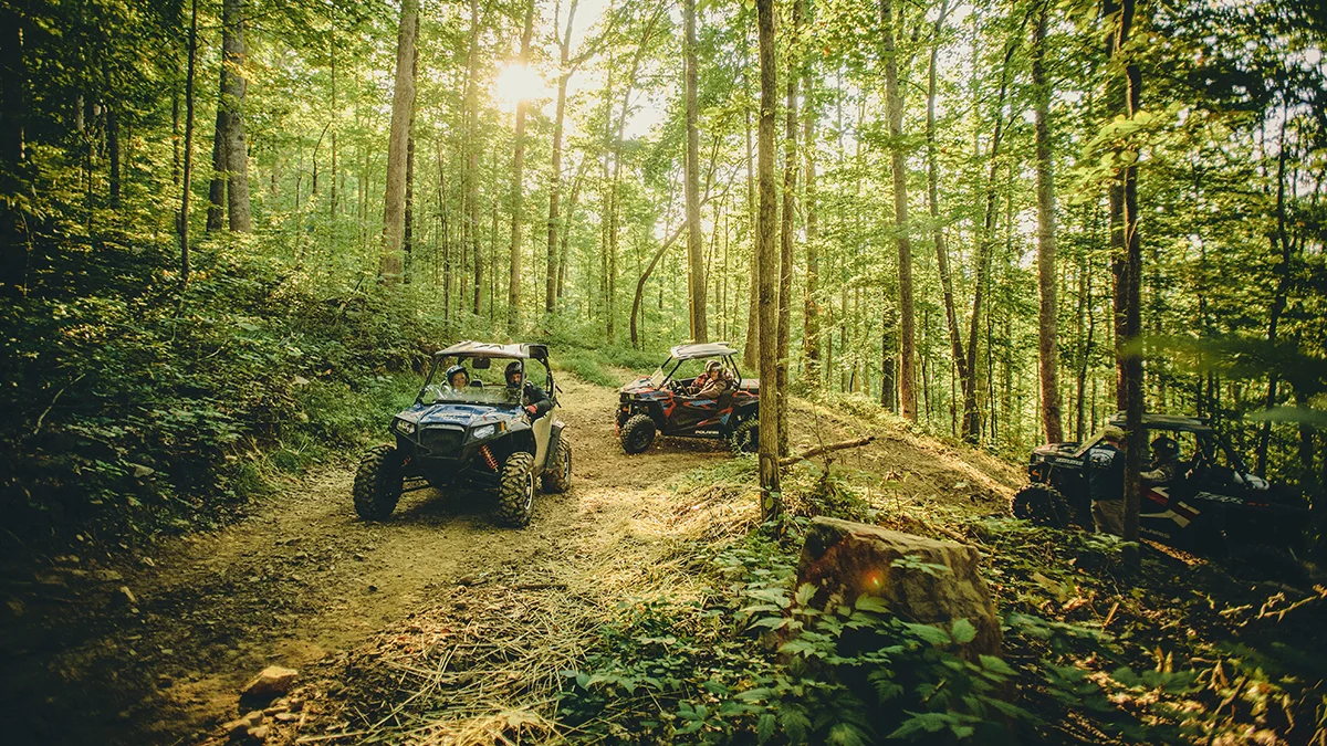 atv-riders-forest-mountain-view-trail-heart-of-appalachia-virginia Three side-by-side ATVs riding through a shaded hardwood forest trail in Virginia's Heart of Appalachia region.