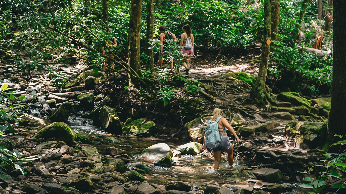 Group of hikers wading across a rocky creek on the Devil's Fork Trail to the Devil's Bathtub in Scott County, Virginia