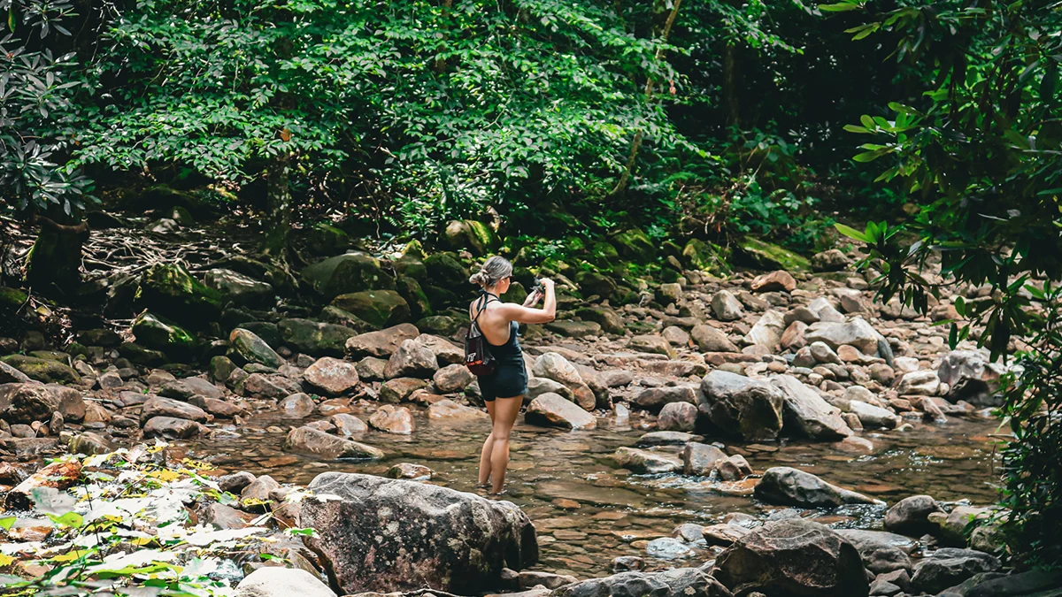 Hiker pausing to photograph the rocky creek along the Devil's Fork Trail to the Devil's Bathtub in Scott County, Virginia