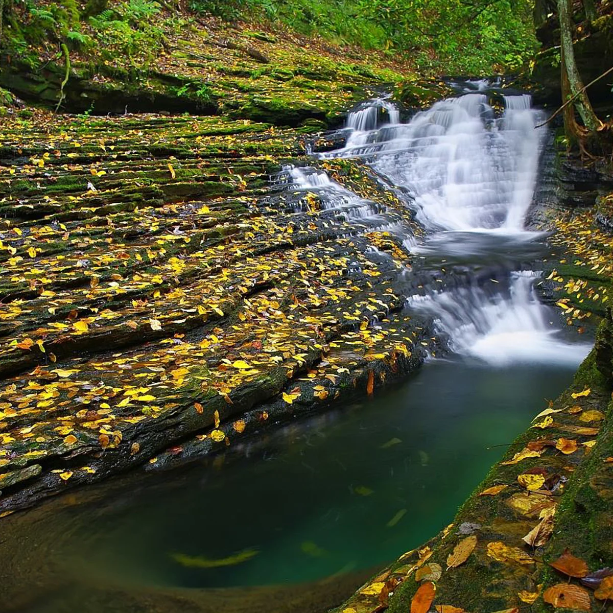 Waterfall spilling into the emerald Devil's Bathtub pool surrounded by fallen autumn leaves in Scott County, Virginia