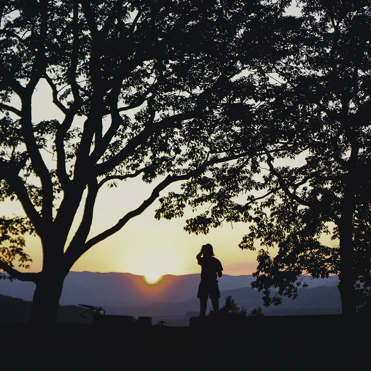 Visitor silhouetted against a mountain sunset at Flag Rock Campground, framed by oak trees overlooking Southwest Virginia's ridgelines.
