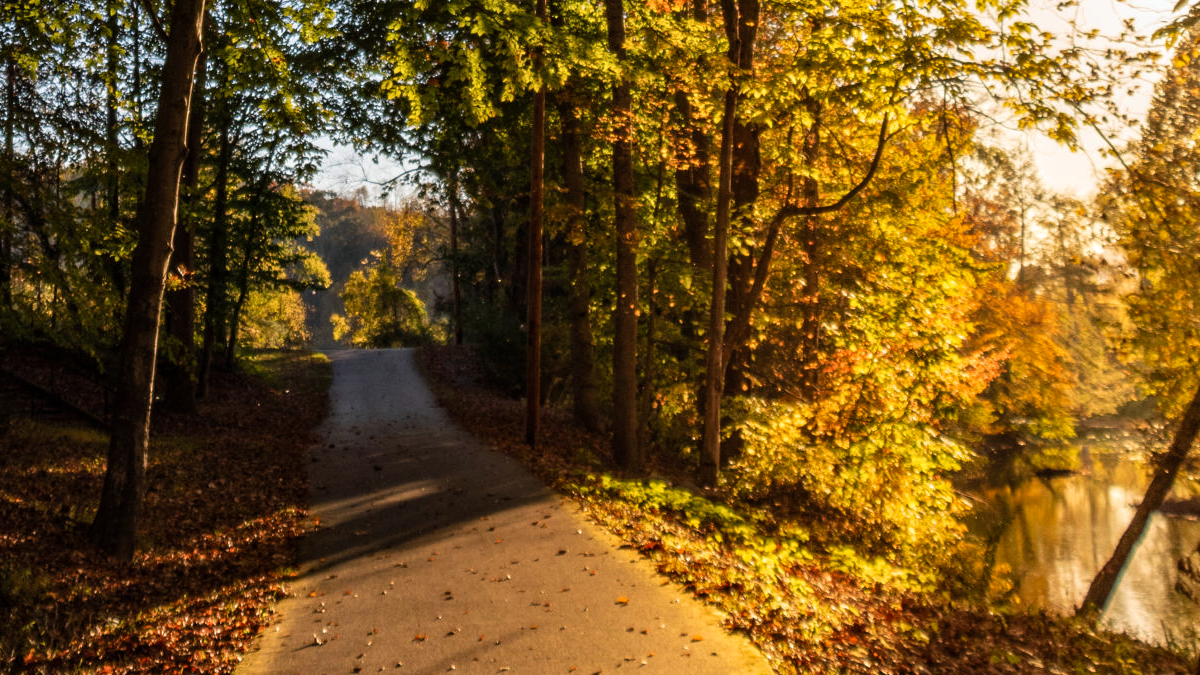 The paved Greenbelt Trail winding through autumn forest alongside the Powell River in Big Stone Gap, Wise County.