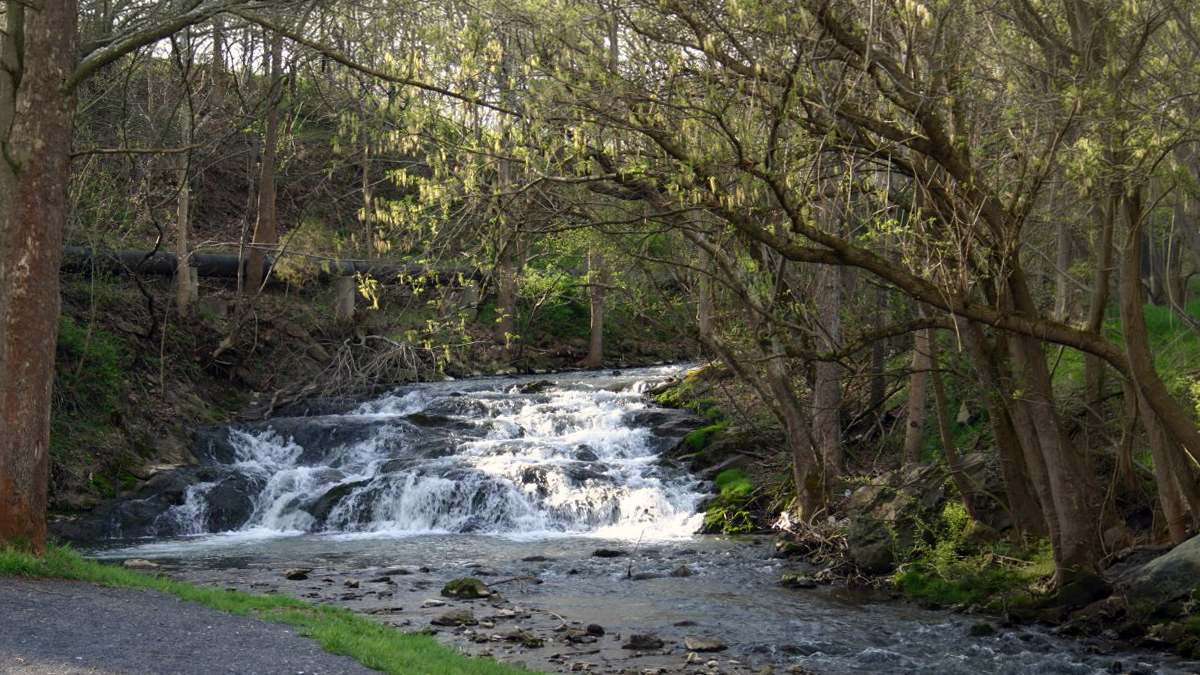 A cascading waterfall on Little Cedar Creek along the JS Easterly Park Trail in Lebanon, Russell County.