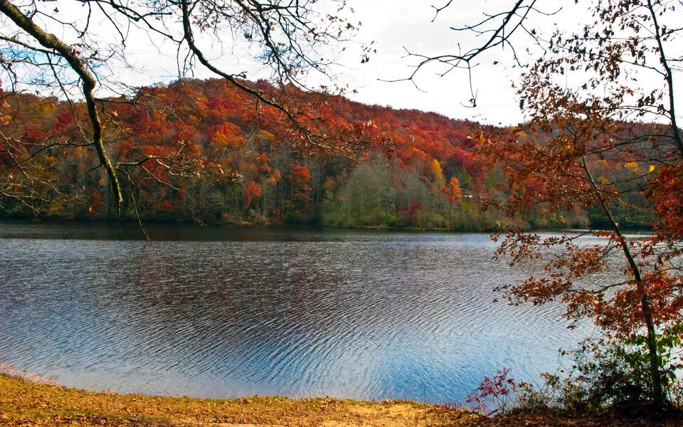 bark camp campground