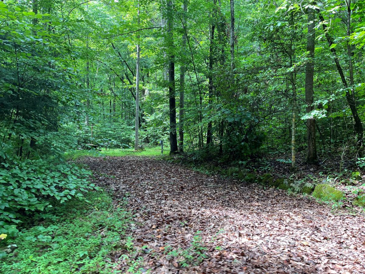 cave springs park