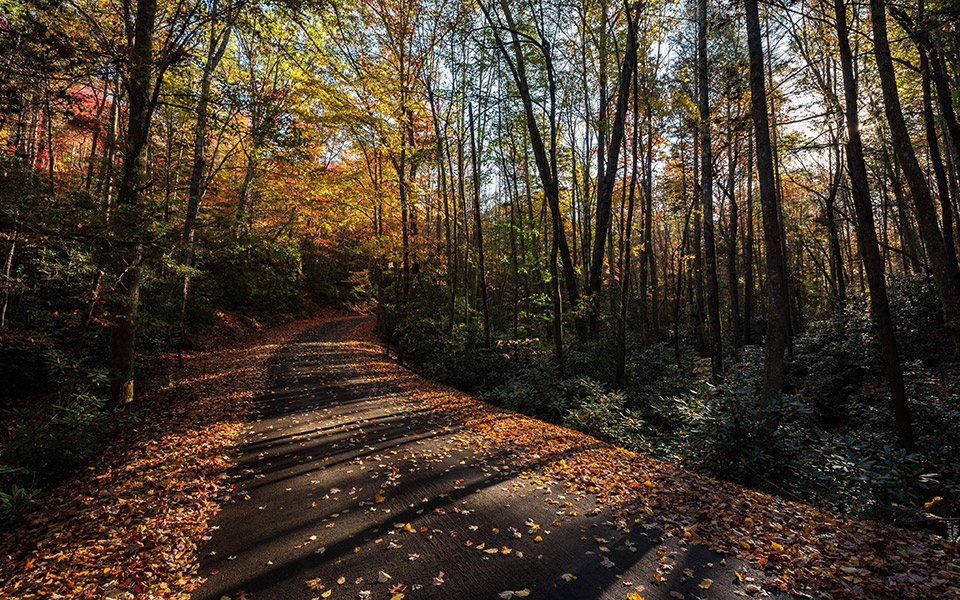 cranesnest river trail
