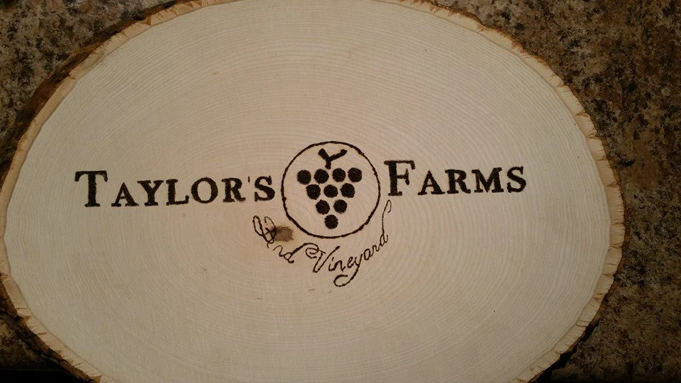 taylors farm and vineyard