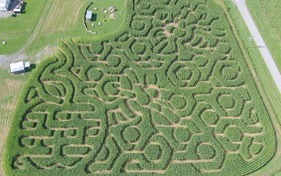 Crab Orchard Corn Maze