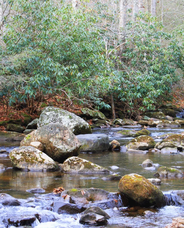 Devils Fork - Scott County