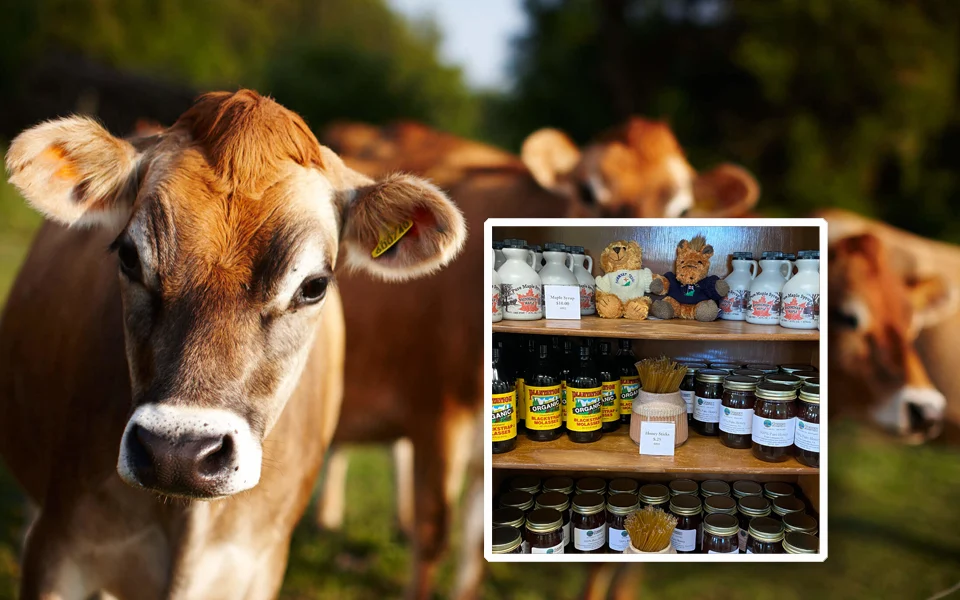 Goshen Homestead Products