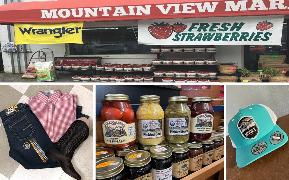 Mountain View Market