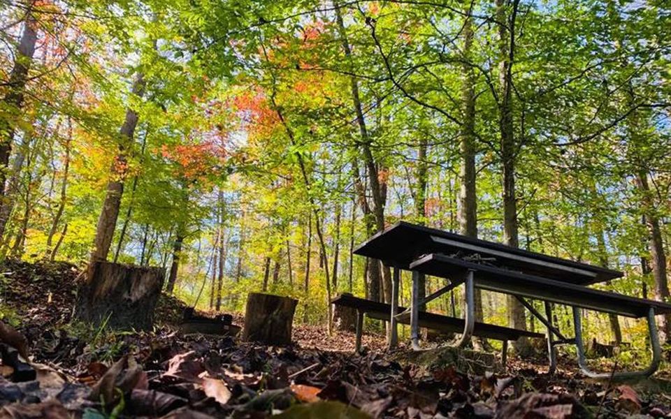 Wilderness Road Campground